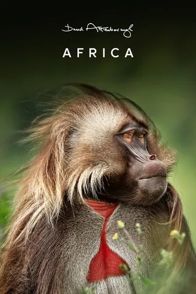 Africa poster